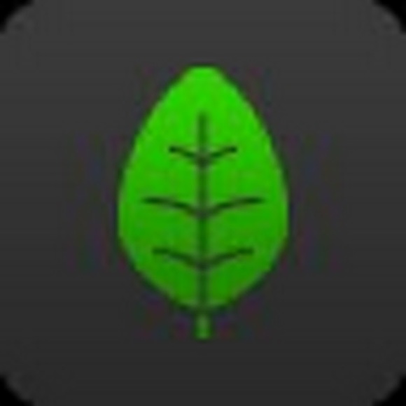lorie_hutton